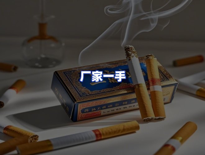 专业团队